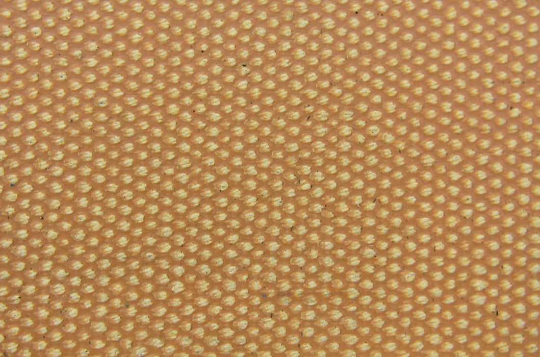 6 Ply 35oz Tan FS x FS Silver Hard Duck