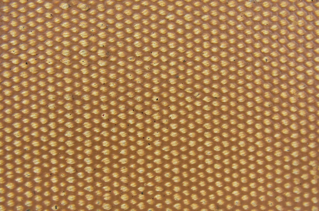 8 Ply 35oz Tan FS x FS Silver Hard Duck