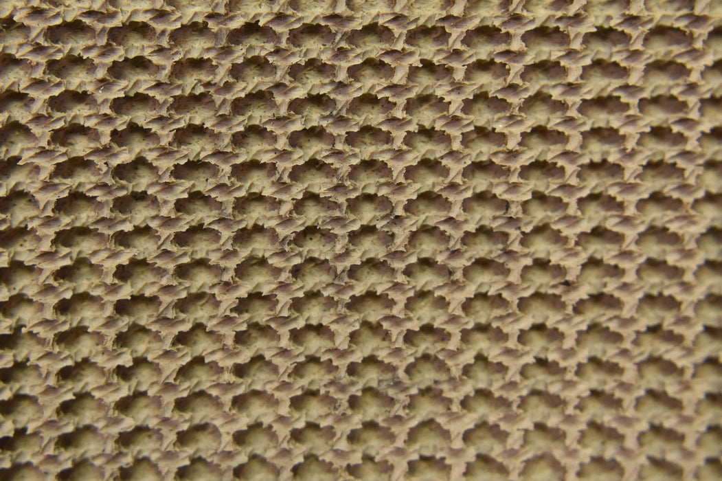 3 Ply CP30 Tan Genuine Puregum Roughtop x FS