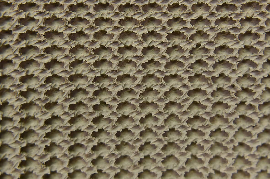 2 Ply 160 Tan Puregum Roughtop x Bare