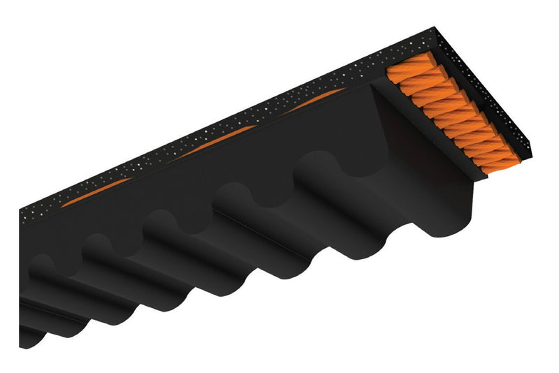 D&D PowerDrive CX155 V-Belt