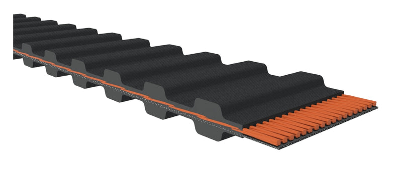 D&D PowerDrive D900XL725 Timing Belt