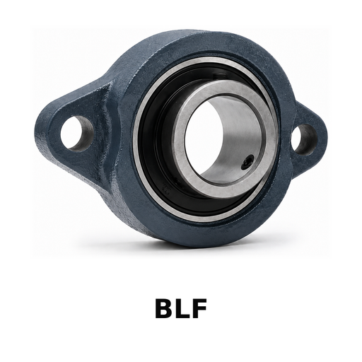 FYH BLF201KG5NP 12MM 2-Bolt 2-Bolt Flange *nickel-plated Hsg* - housing